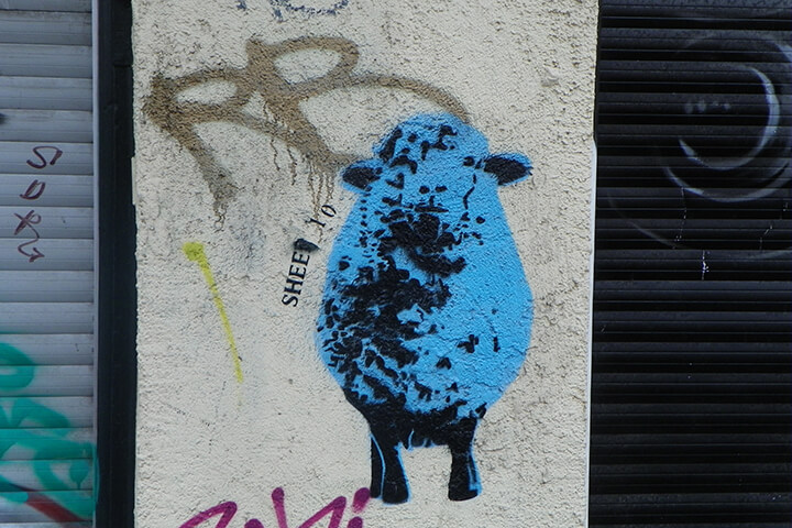 Amplifold erhält 5 Millionen Euro – FION Energy sammelt 1,4 Millionen ein – Senstar übernimmt Blickfeld