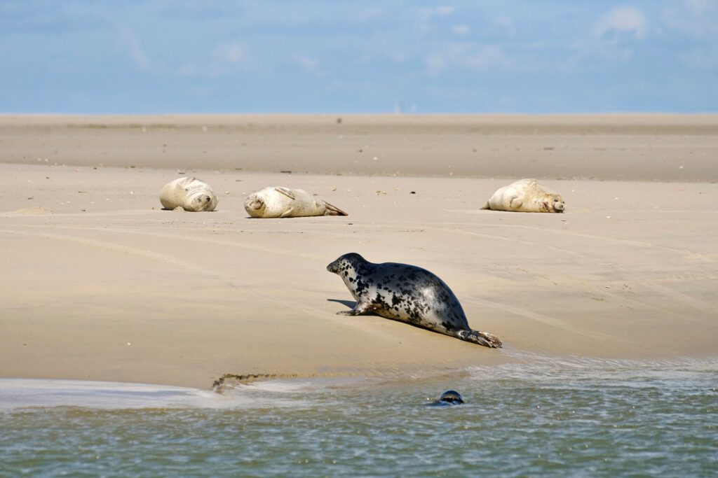 Reiseziele fernab der Hochburgen: Das sind die 15 Geheimtipps für 2026 in Deutschland